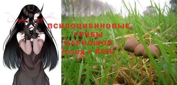 ГАЛЛЮЦИНОГЕННЫЕ ГРИБЫ Лиски