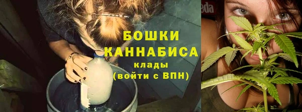 прущие крисы Магадан