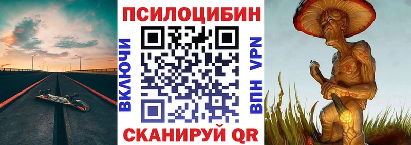 Псилоцибиновые грибы Cubensis  магазин    гидра tor  Нижнеудинск 