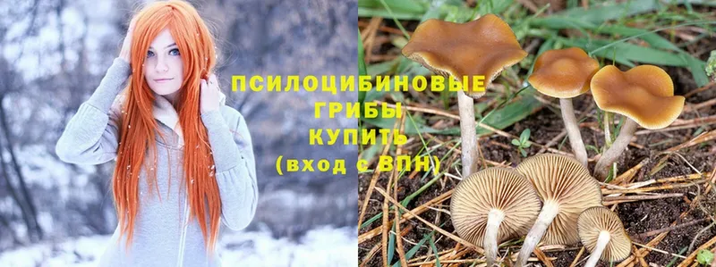 Псилоцибиновые грибы MAGIC MUSHROOMS  мега ссылки  Нижнеудинск 