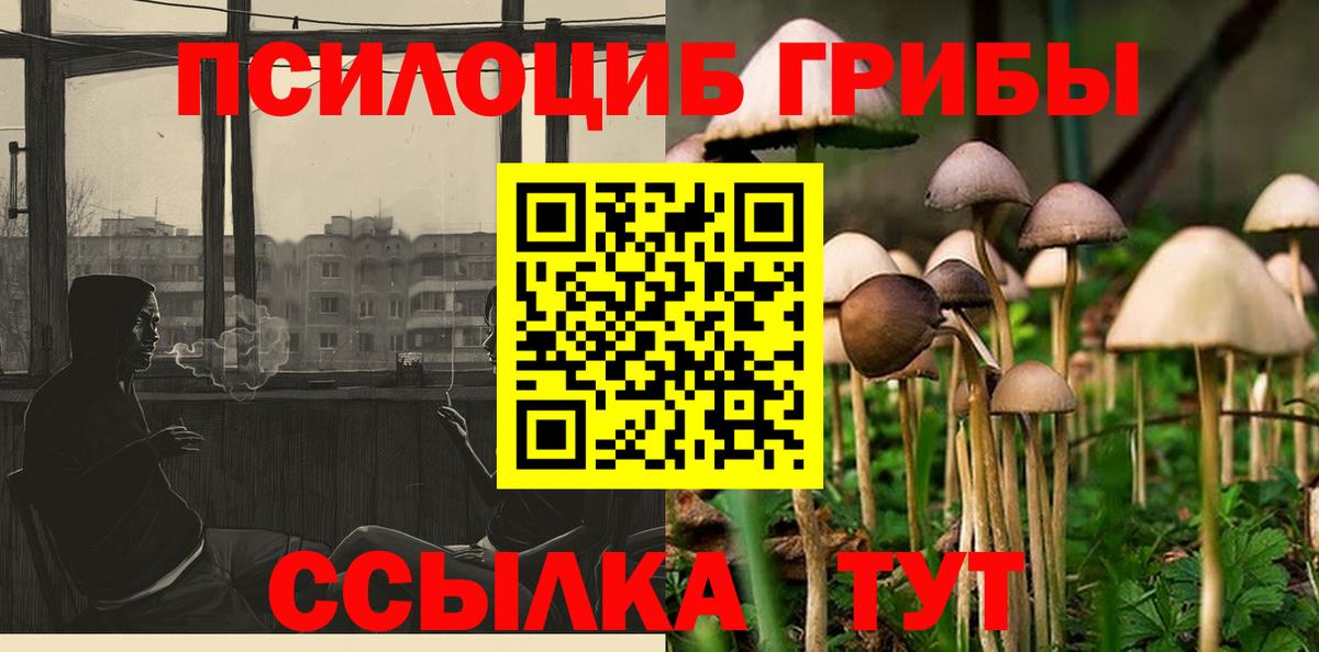 Псилоцибиновые грибы Magic Shrooms  Вход с VPN  Нижнеудинск 