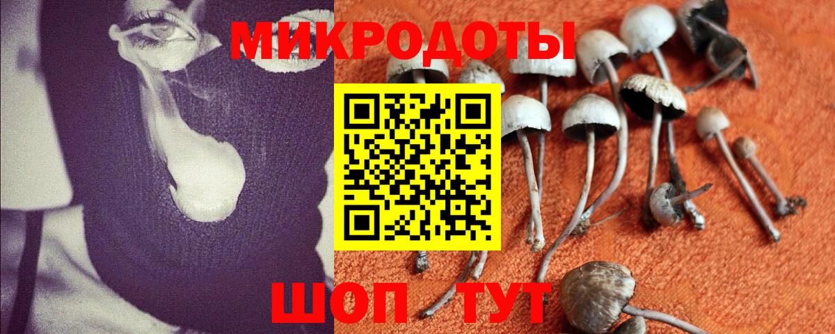 Псилоцибиновые грибы Cubensis Нижнеудинск